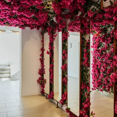 Artemoula's Aparthotel Platys Gialos (Mykonos)